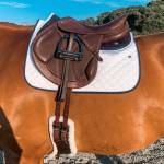 Saddle ForSale Profile Picture