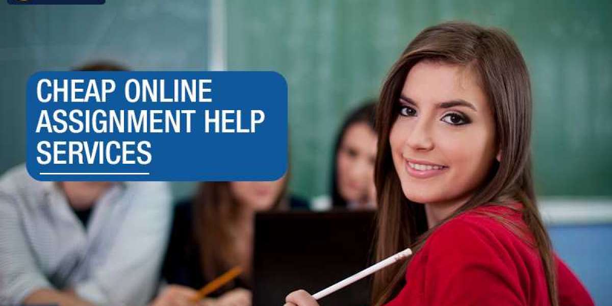 Services Provided By The Assignment Help Experts