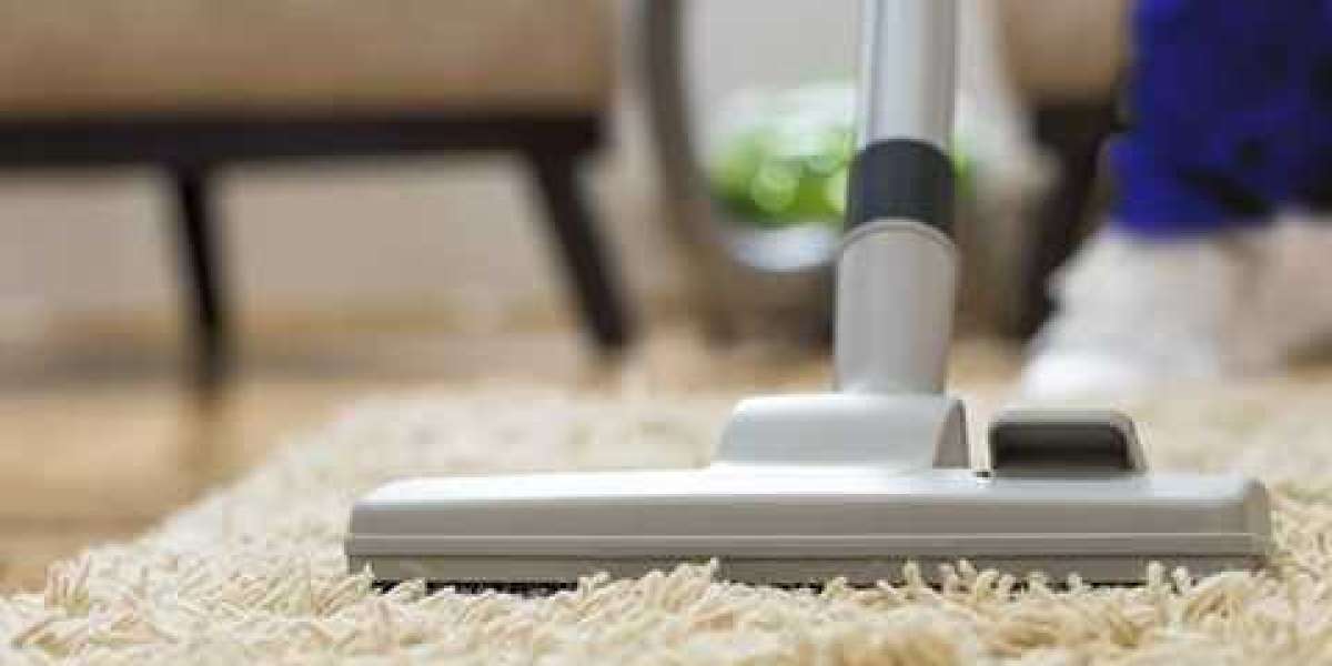 Professional Carpet Cleaning for Services Stain Removal