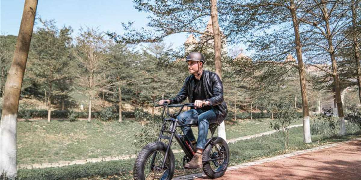 E-Bikes and Sustainability Initiatives: Partnering for a Greener World
