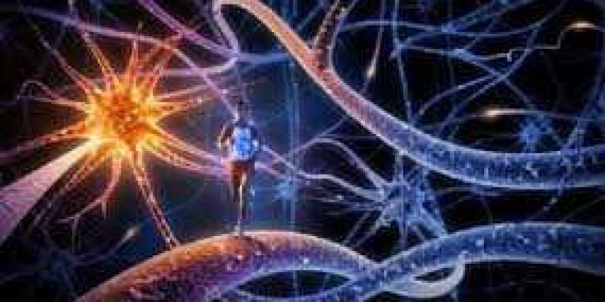 Nerve Repair and Regeneration Market Size, Share, Trends 2024-2032