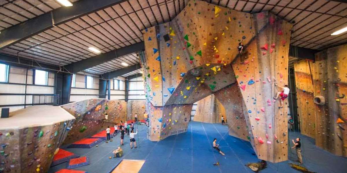 Grip, Reach, Adapt: Evolution of Europe's Climbing Gym Industry Amidst Pandemic