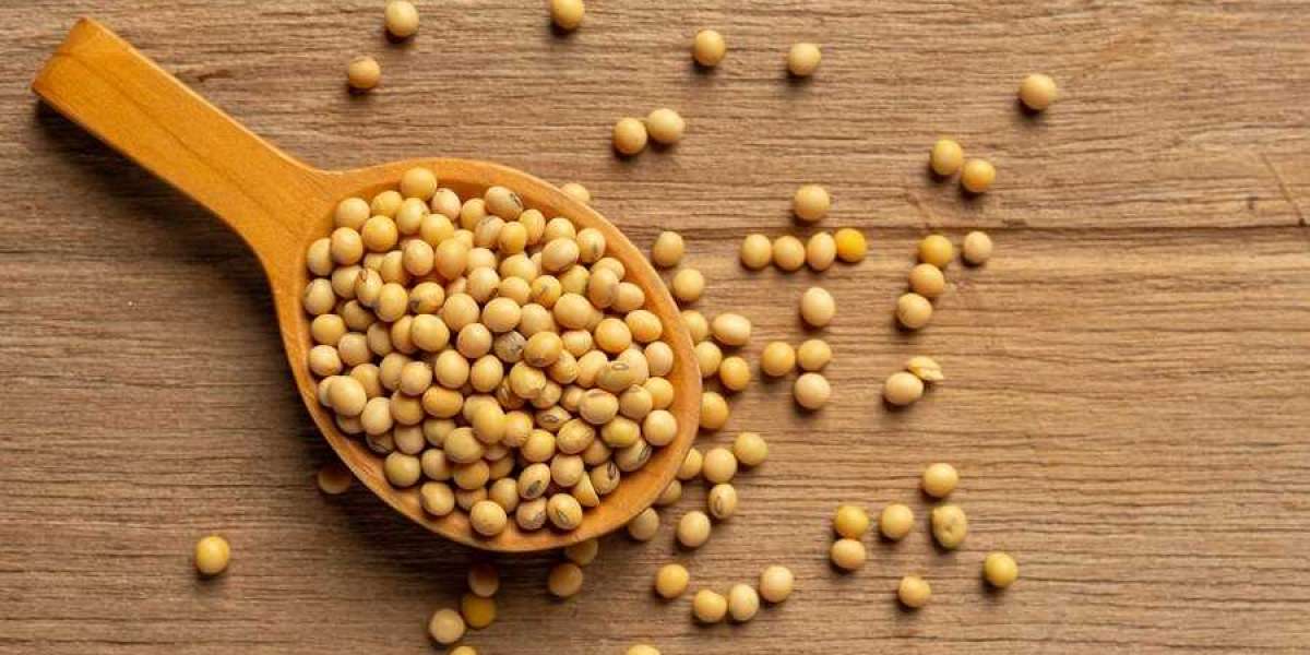 Global Soy Hydrolysate Market: Unveiling Growth Trajectories and Market Dynamics