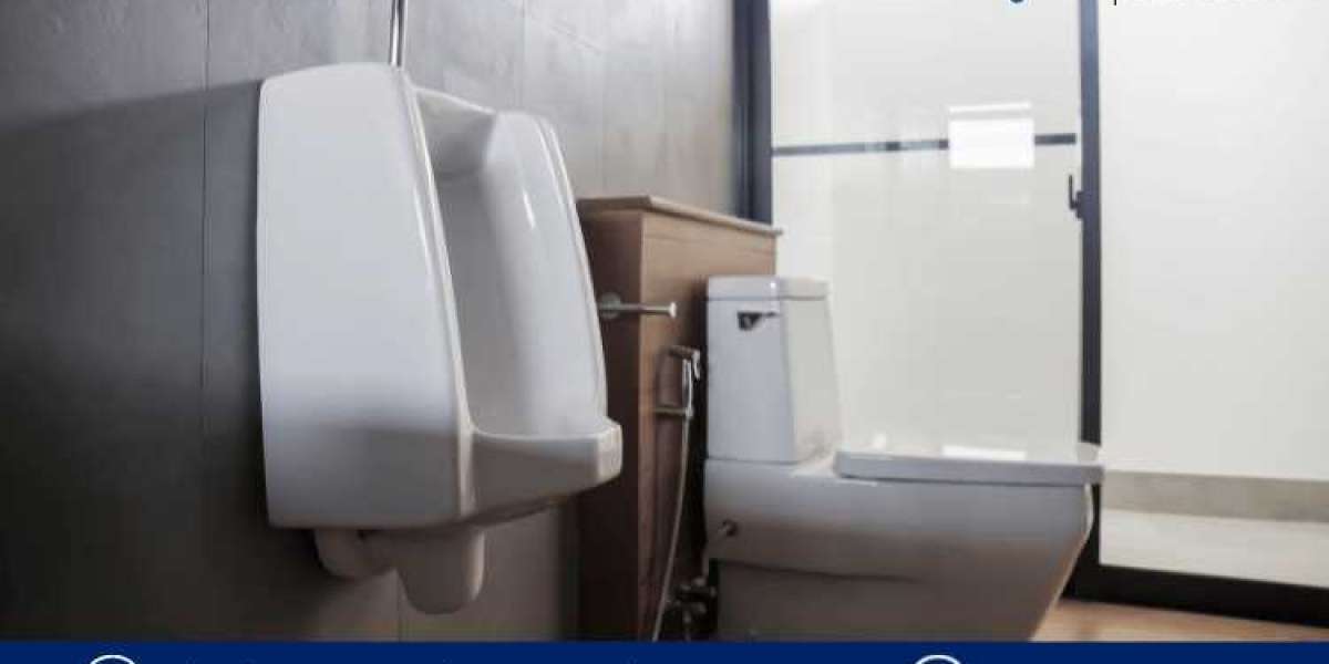 Navigating Growth: Insights into the Ceramic Sanitary Ware Market