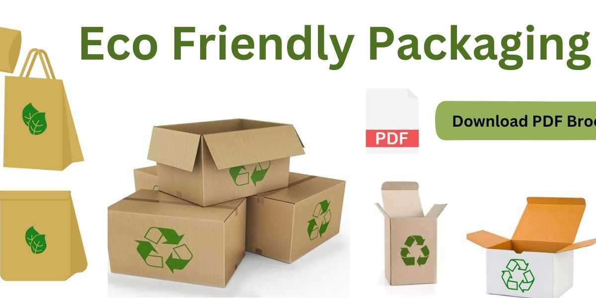 Eco Friendly Packaging Market  Trends, Key Players Analysis, Regional Trends, Competitive Landscape, and Industry Potent