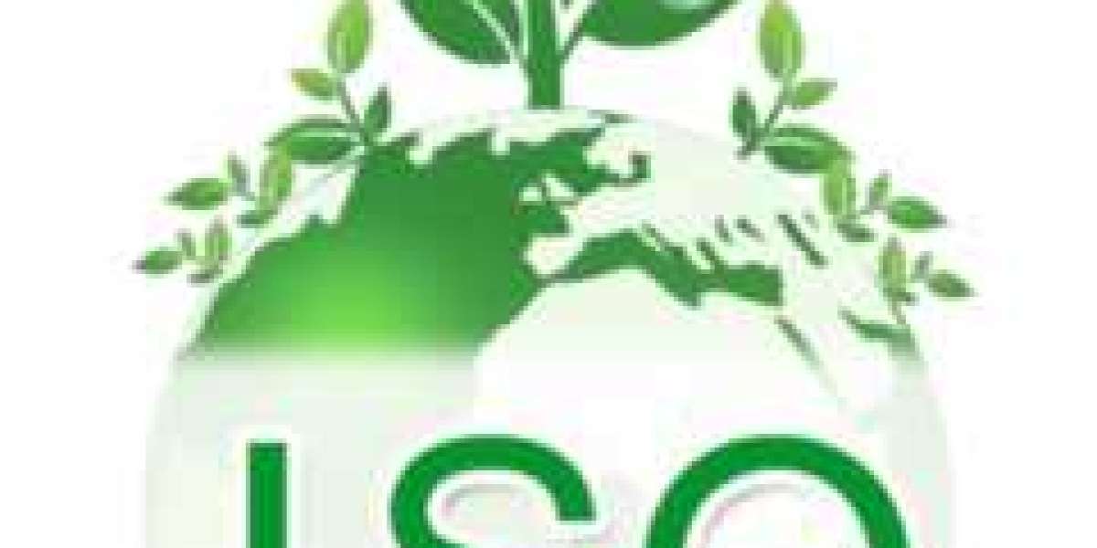 Achieving Environmental Excellence: The Journey to ISO 14001 Certification