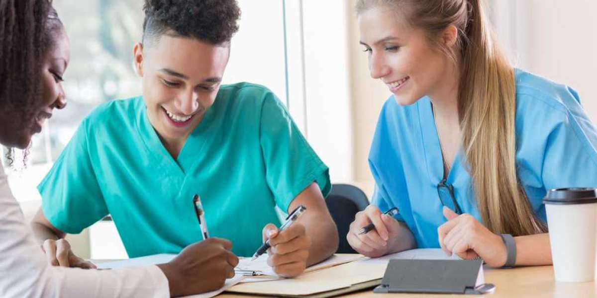 Best Custom Writing Service: Your Go-To Nursing Essay Writing Services and Online Class Hel