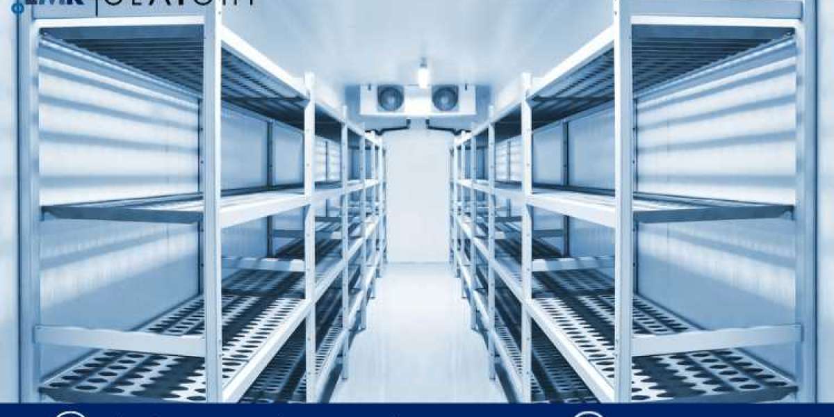 Chilling Opportunities: Navigating Indian Cold Chain Market Dynamics