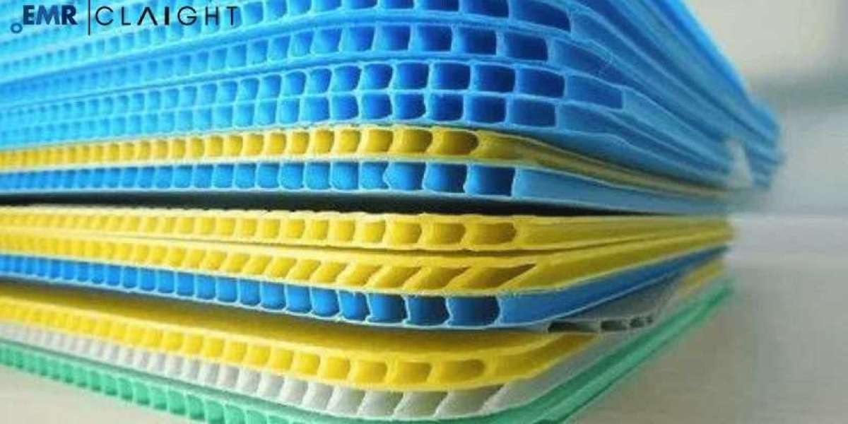 Layer Pads Market Size, Share, Industry Growth & Trend Report and Forecast 2024-32