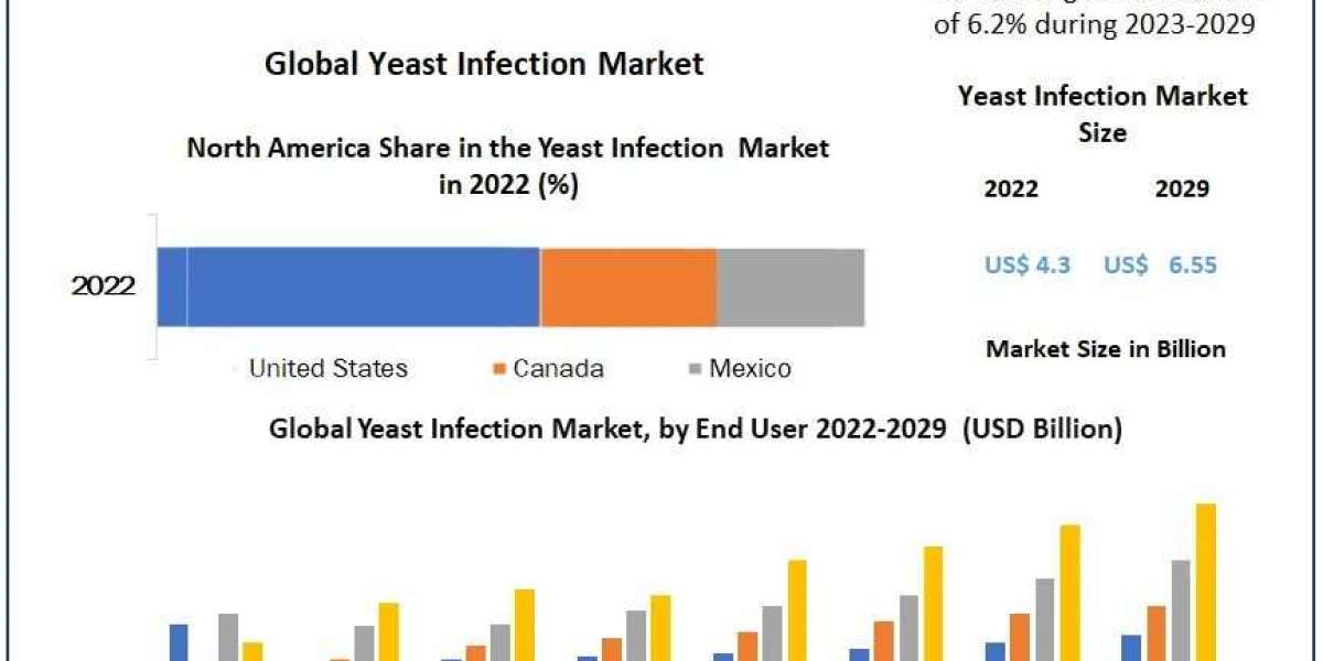 Yeast Infection Market Valuable Shares and Regional Analysis With Industry Forecast  2029