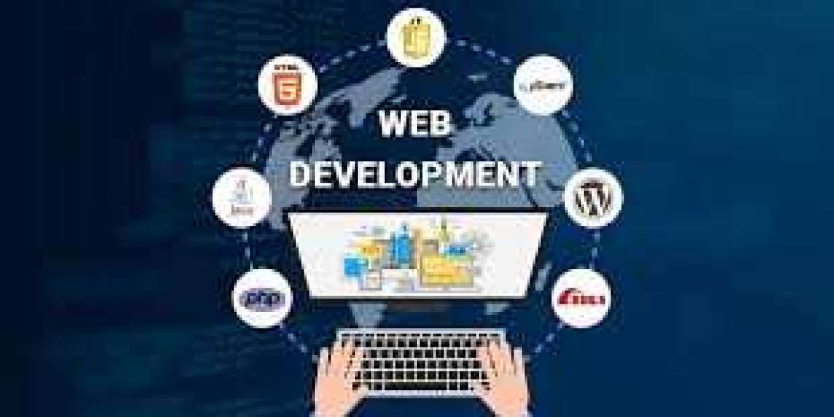 Website development company in Meerut | Promotion Paradise