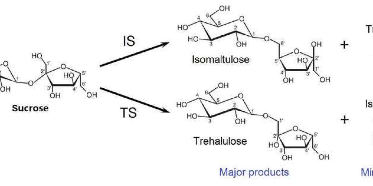 Isomaltulose Market Analysis: Opportunities and Challenges