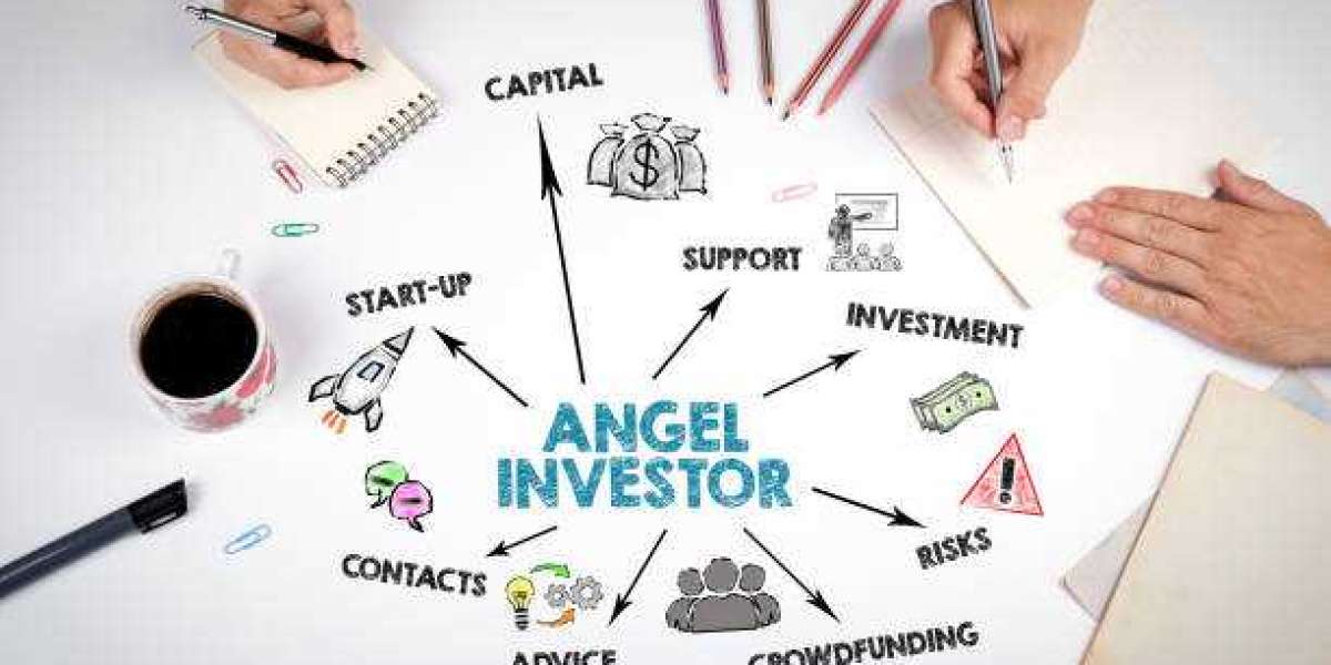 Unveiling the Wings of Angel Investments: A Guide to Soaring Startup Success