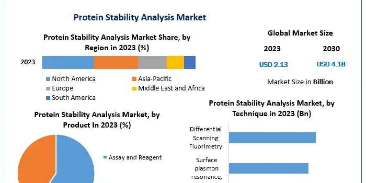 ​Protein Stability Analysis Market Overview, Key Players Analysis, Emerging Opportunities and Forecast 2030