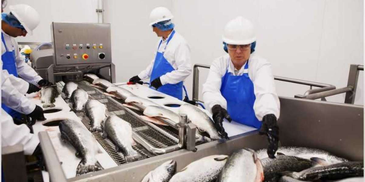 Fish Processing Market Future Scope, Industry Insight, Key Takeaways, Revenue Analysis and Forecast to 2029