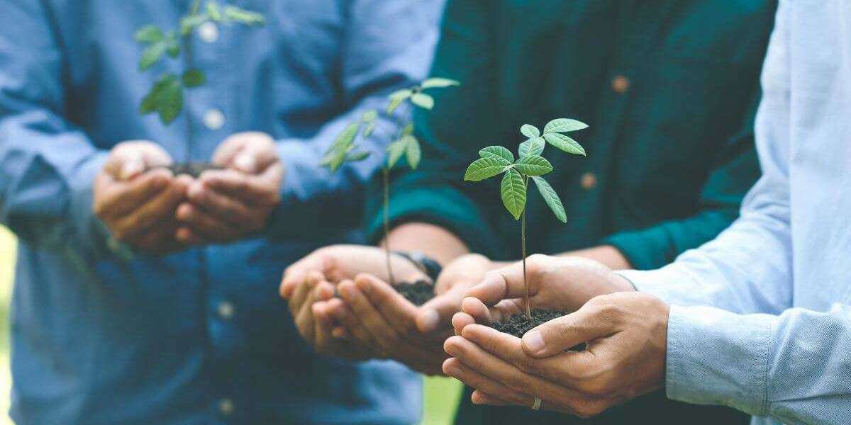 Unlocking Sustainability and Success in Family-Owned Businesses through ESG Consulting in Malaysia
