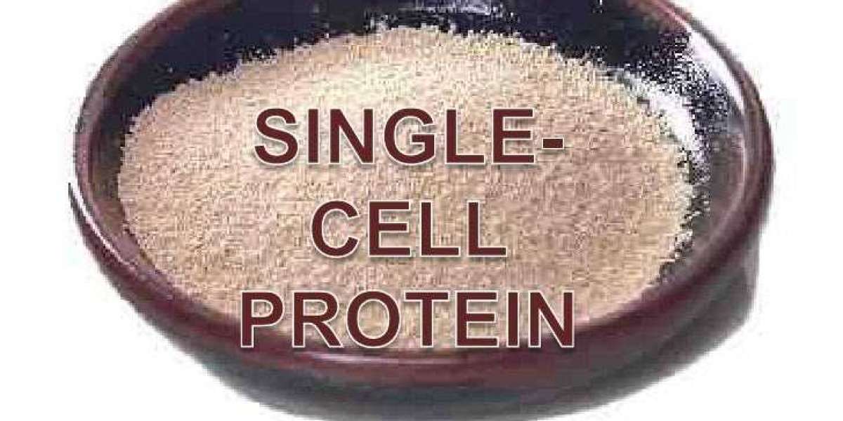 Superfood Surge: Single Cell Protein's Impact on Health and Wellness
