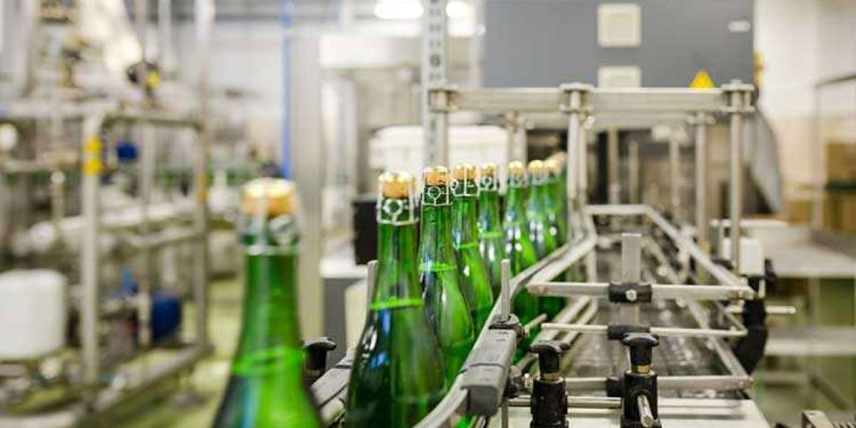 Understanding the Insights and Requirements to Setup Soda Manufacturing Plant Project