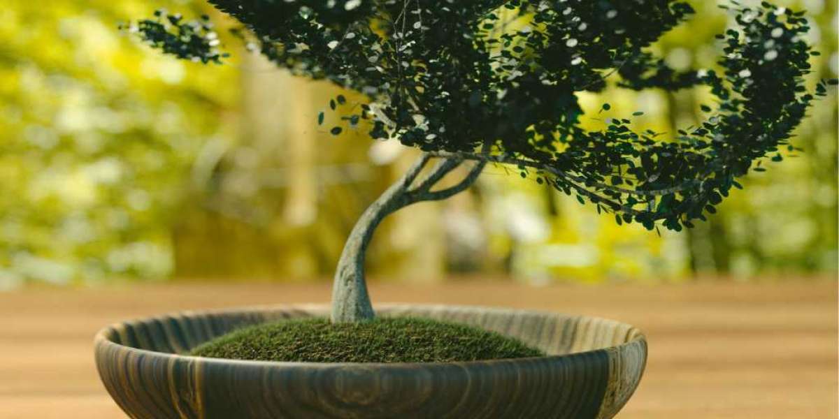 Creating a Zen Space with a Large Artificial Bonsai Tree