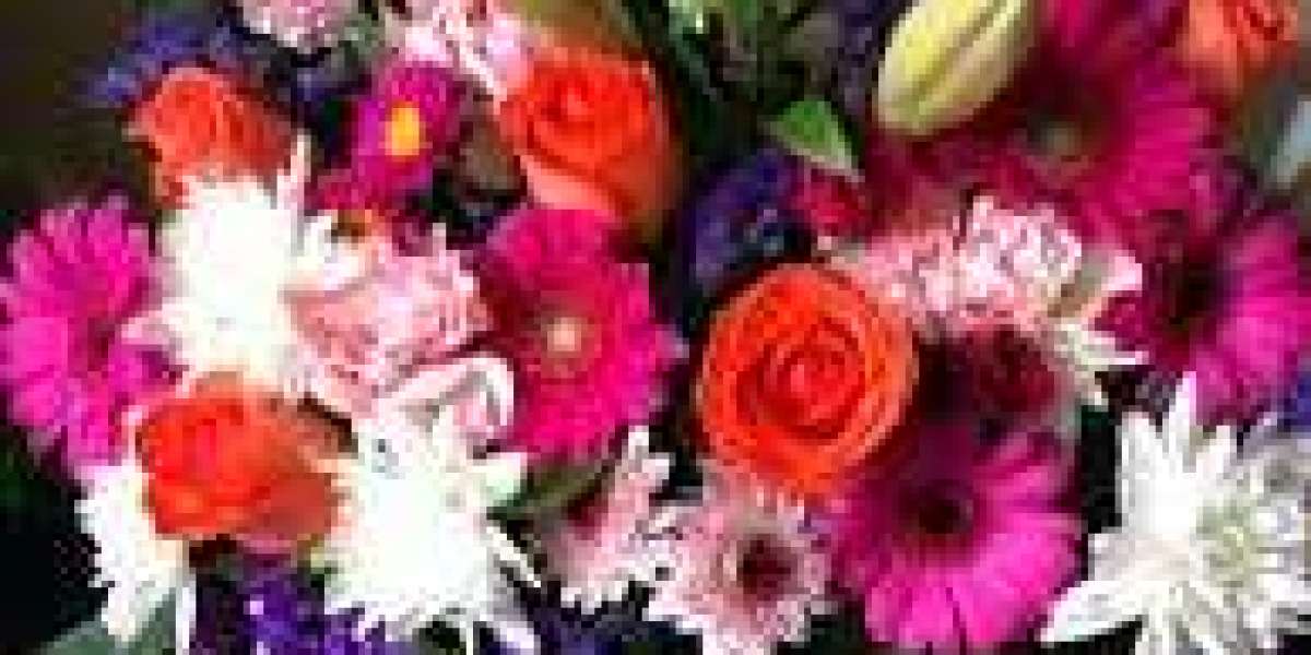 Ottawa's Best Flower Shop: Terra Plants and Flowers