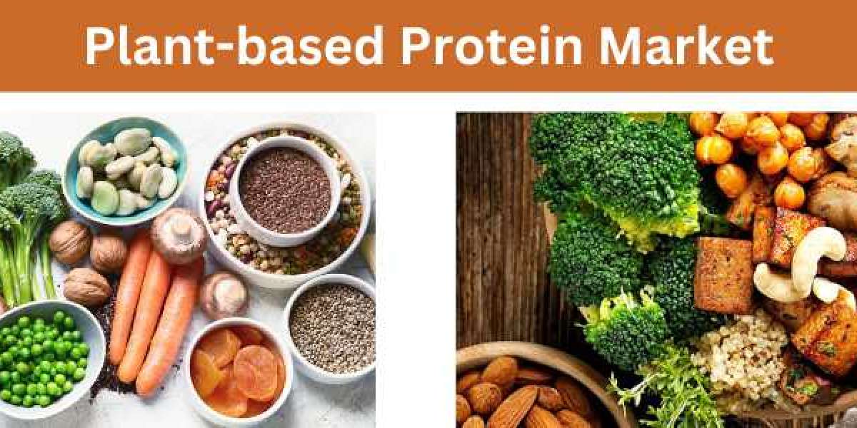 Plant-based Protein Market Growth Trends Analysis and Dynamic Demand, Forecast 2024 to 2033