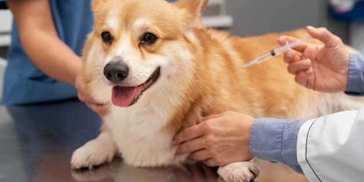 Veterinary Animal Vaccines Market Growth, Trends and Top Players