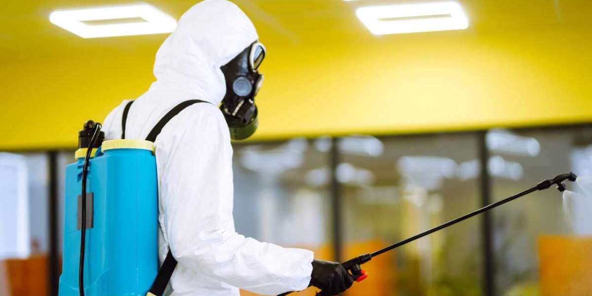 Maintaining Cleanliness and Compliance: Commercial Pest Control in Melbourne