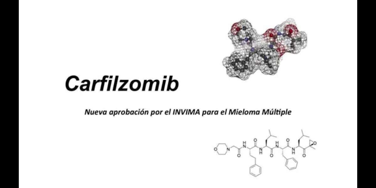 Carfilzomib Market Industry Statistics and Growth Trends Analysis Forecast 2024 - 2034