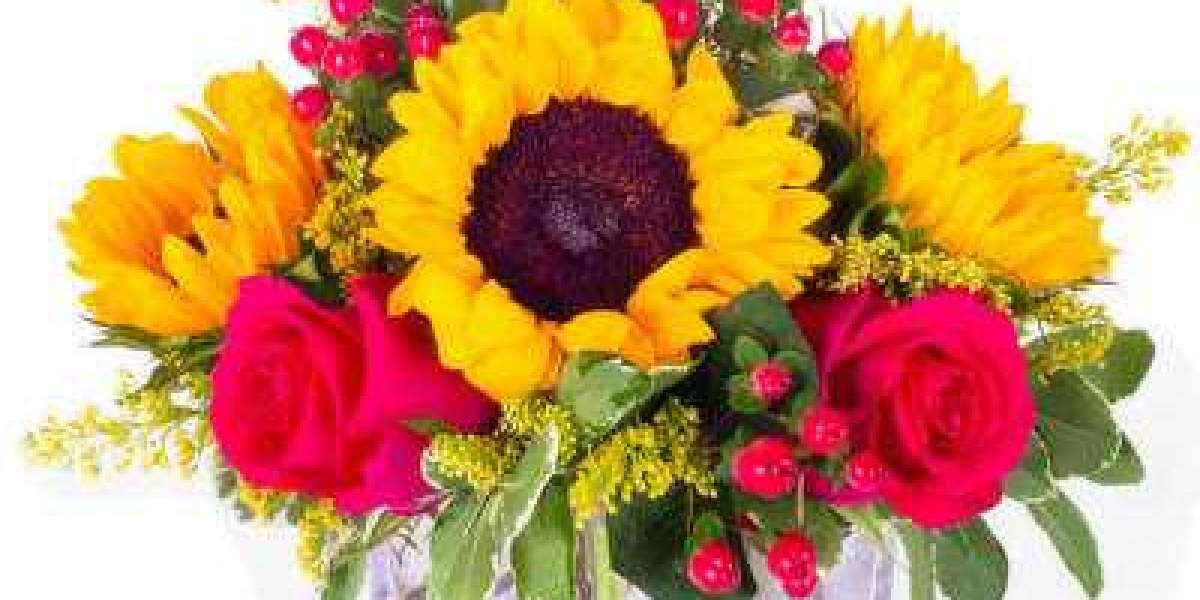 Ottawa Flower Delivery by Terra Plants and Flowers
