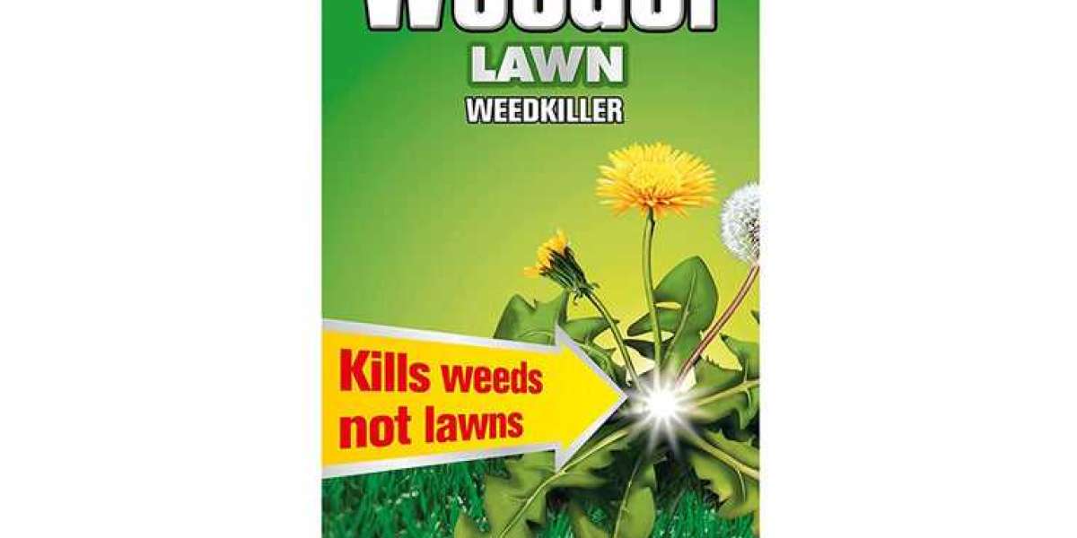 The Best Weed Control Products for Lawn Care